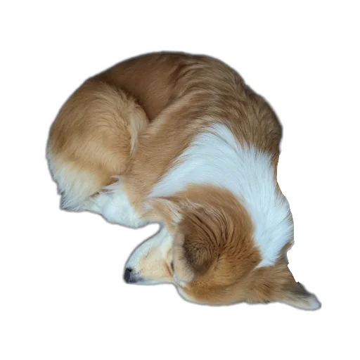 БАРАБУЛЬКА - 