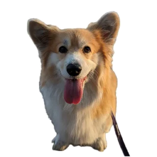 Sticker БАРАБУЛЬКА - 5