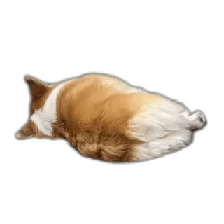 Sticker БАРАБУЛЬКА - 7