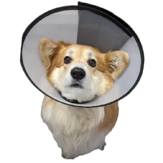 Sticker БАРАБУЛЬКА - 6