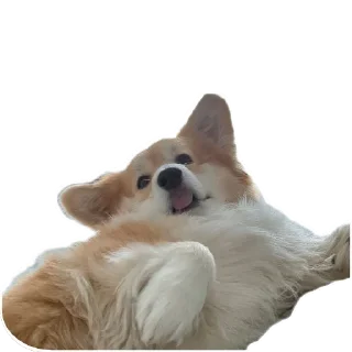 Sticker БАРАБУЛЬКА - 11