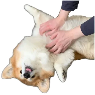 Sticker БАРАБУЛЬКА - 3