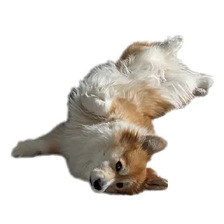 Sticker БАРАБУЛЬКА - 2