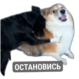 Sticker БАРАБУЛЬКА - 8