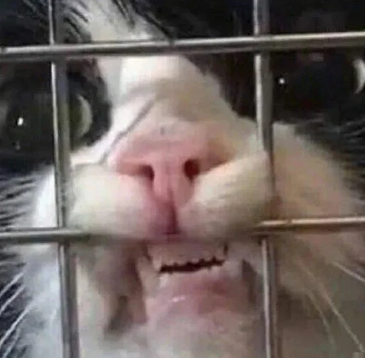 Стикер BARS_RND - 1