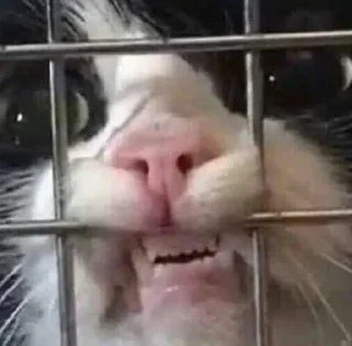 Sticker Bars-Stickers - 6