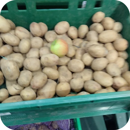 Sticker BAZA4460 - 1