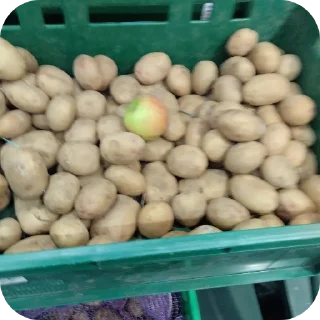 Sticker БАЗА - 3