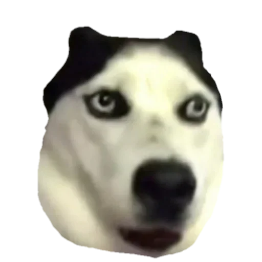 Sticker Стики 3849 из @Anonymnyi_chat_bot - 5