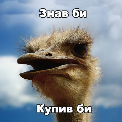 Стикер BCTrad - 1