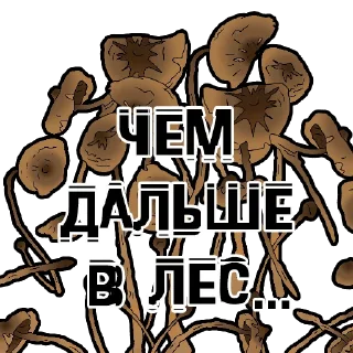 СМС плакат шрифт