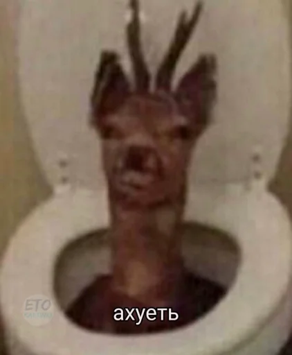 bathroom restroom indoor