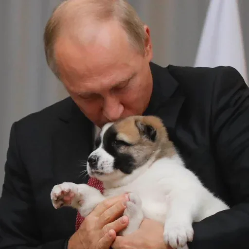 Стикер BEzsIamiZE_by_WmojiBot - 1