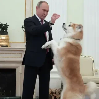 Sticker Стикеры тут 👉 @Femoji - 1