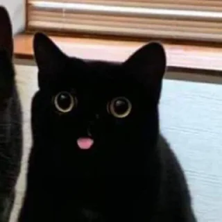 Стикер Пак создан в @moyi_stikery_bot - 6