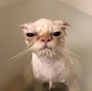 Стикер Пак создан в @moyi_stikery_bot - 1