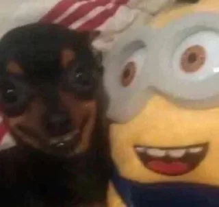 Sticker Стикеры тут: @stikeryv - 11