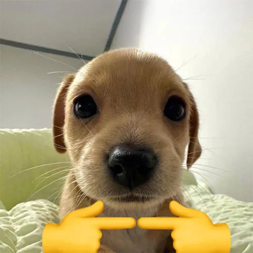 Sticker BILLYCTO - 1