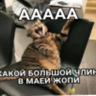 Стикер Ай бля - 6