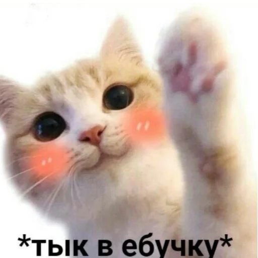 Sticker стикеры от алины мельниковой - 0