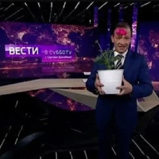 Sticker VestiStickers • @sticbot - 3