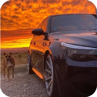 vehicle land vehicle wheel