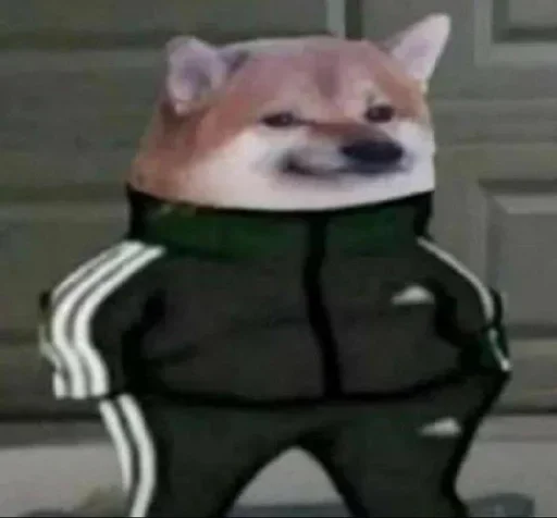 Больше стиков тут: @stikery4 - 