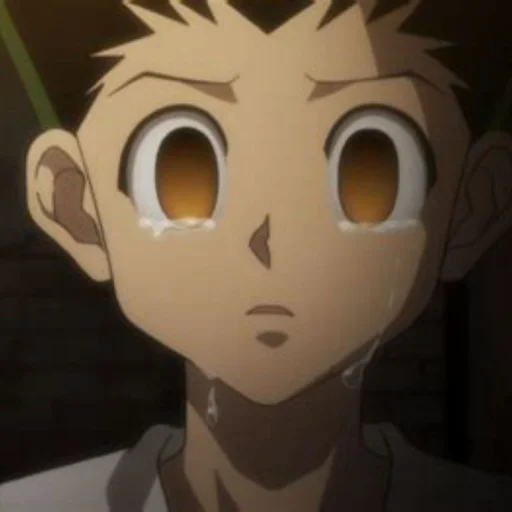 Стикер Killua 's Pack - 10