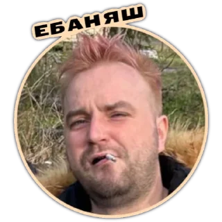 Стикер БОМЖАРИКИ - 2