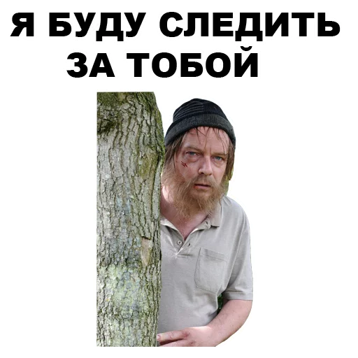 человеческое лицо СМС одежда