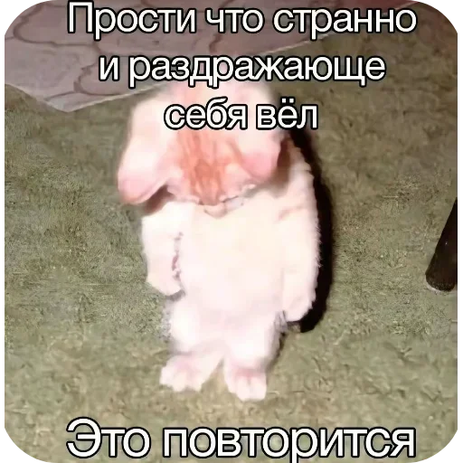 Sticker BQQDZHZ_by_stikers_du_ark_bot - 1