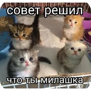 Sticker @sticksbb <— больше стиков💓💘💞 - 9