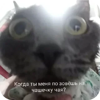 Sticker @sticksbb <— больше стиков💓💘💞 - 10