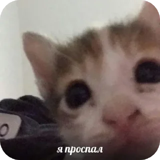 Sticker @sticksbb <— больше стиков💓💘💞 - 4