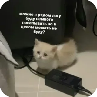 Sticker @sticksbb <— больше стиков💓💘💞 - 6