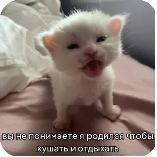 Sticker @sticksbb <— больше стиков💓💘💞 - 3