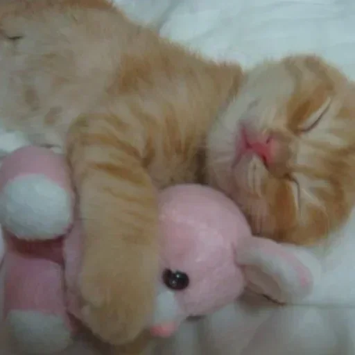 Sticker BSJQAzlISz_by_Sticker363728bot - 1