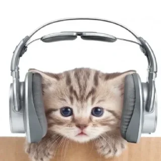 Стикер @stickeri_tg 💋<-- стикеры тут - 11