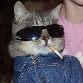 Sticker BS Stiker - 10