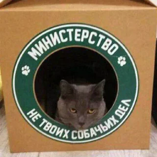 Sticker BS Stiker - 5