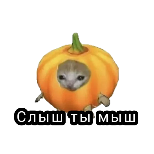 fruit pumpkin text