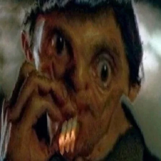 person human face portrait