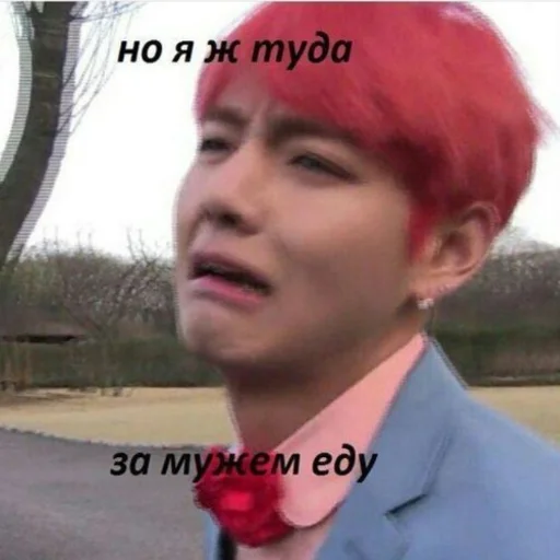 person human face hairpiece