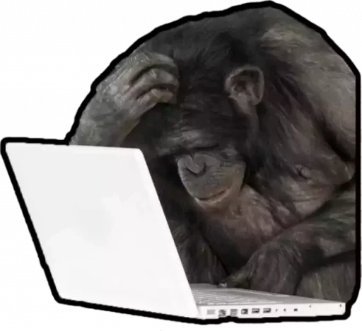 млекопитающее животное примат