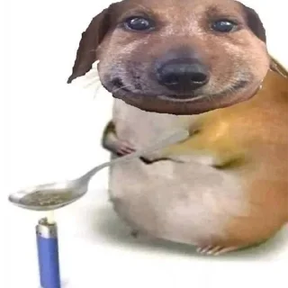 Стикер БУДКА ДИОКСИДА от крипиблокса - 0