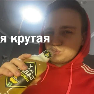 Стикер БУДКА ДИОКСИДА от крипиблокса - 3