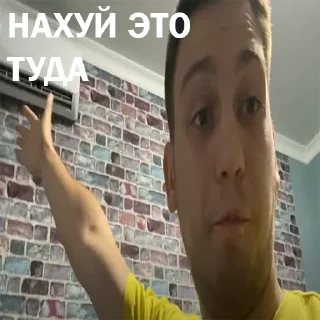 Стикер БУДКА ДИОКСИДА от крипиблокса - 4