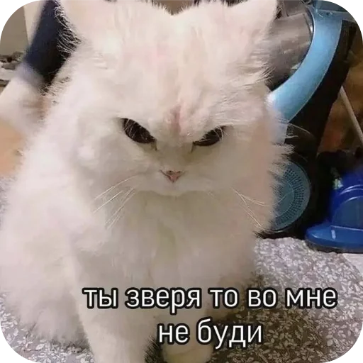 Sticker BUISPUGALSYANEBOJSYAYAYADERKA - 1