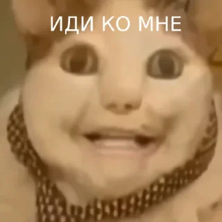 Sticker БУ ИСПУГАЛСЯ - 10