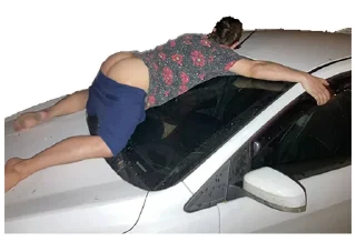 Стикер BUSHmaster - 11